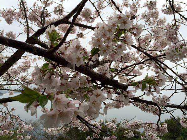 rblog-20160406174853-05.jpg