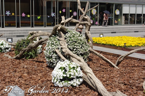 Flower Garden 2014