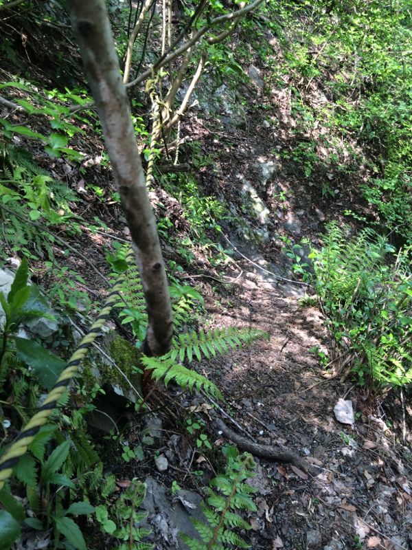 rblog-20160417005224-01.jpg
