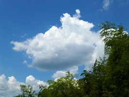 P1000465.JPG
