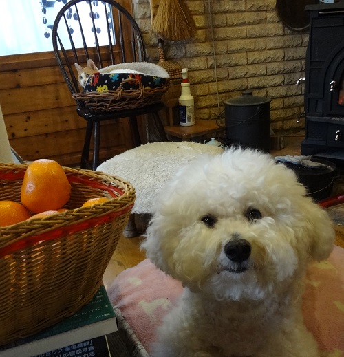 DSC01874.JPG