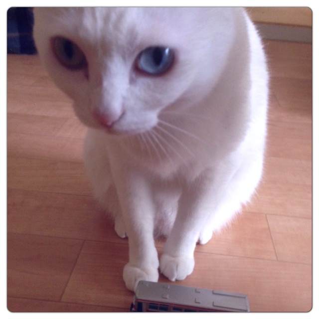 rblog-20130612173200-00.jpg