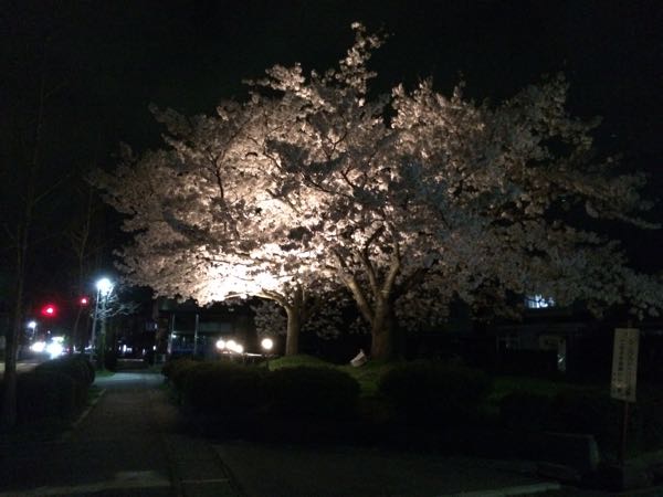 rblog-20150410062608-04.jpg