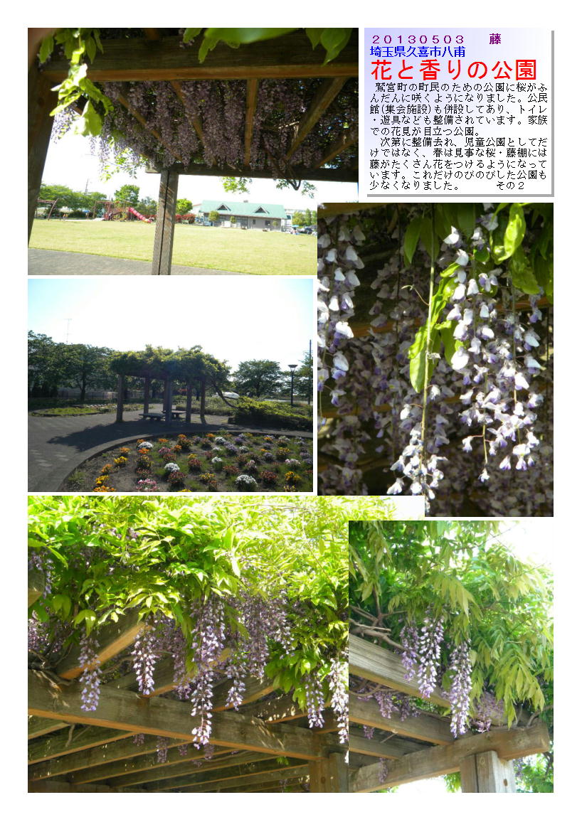 20130503hanatokaorinokouen2-fuzi.jpg