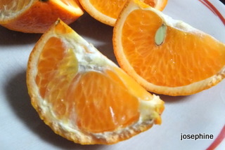 DSCF1870.JPG