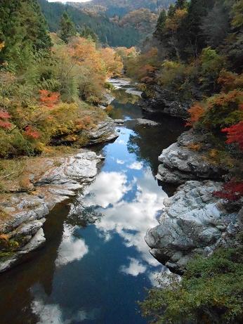 DSCN0818.jpg