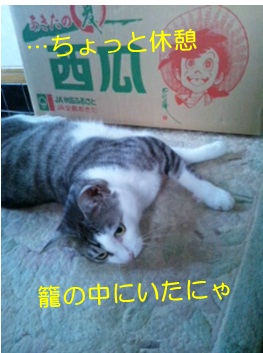 20120801_2.jpg