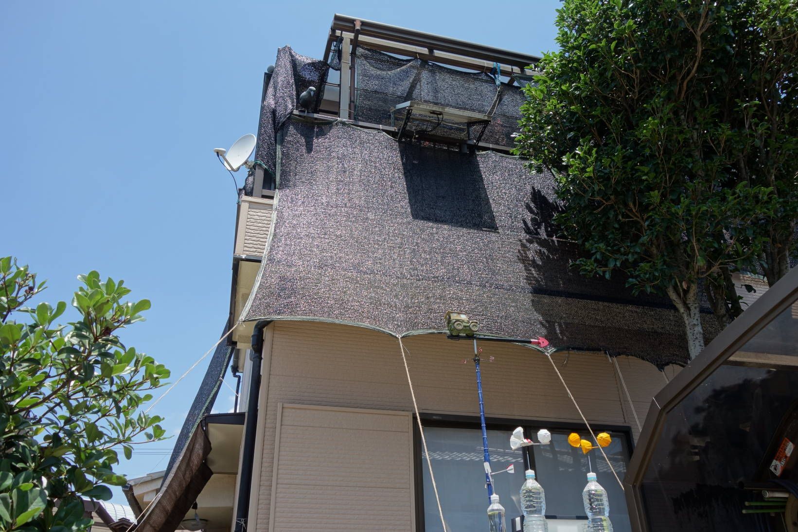 ベランダの遮光ネット張り直し レオワンをいつもの診察に連れて行きました ヨッシイのブログ 楽天ブログ