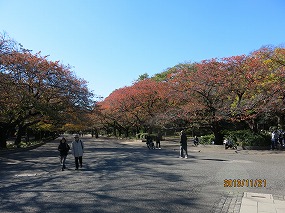 紅葉 131121-586b.jpg