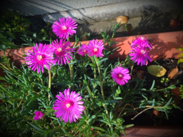 rblog-20160531164123-02.jpg