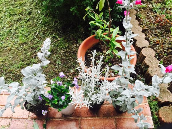rblog-20160410203138-01.jpg