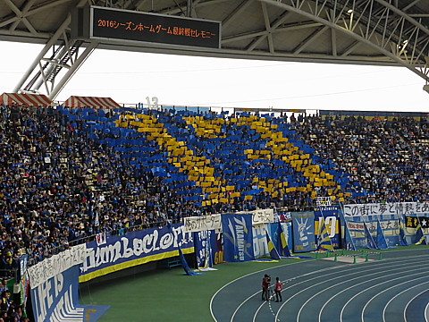 P1300841.jpg