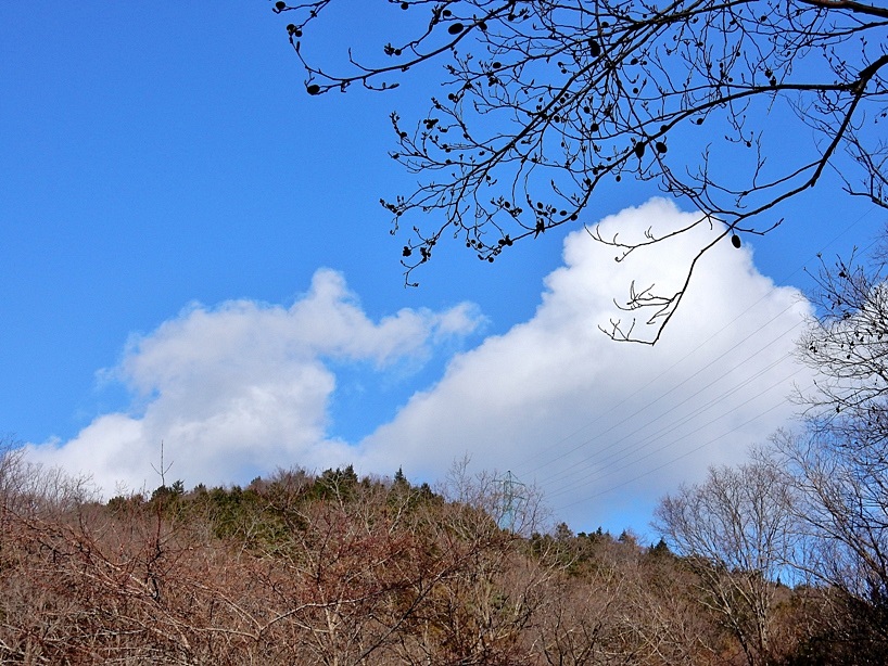 空3.JPG