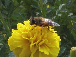 20151009-1.jpg
