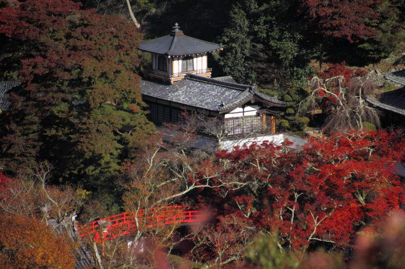 箕面公園_2-2.jpg
