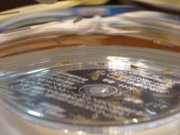 rblog-20141214024534-00.jpg