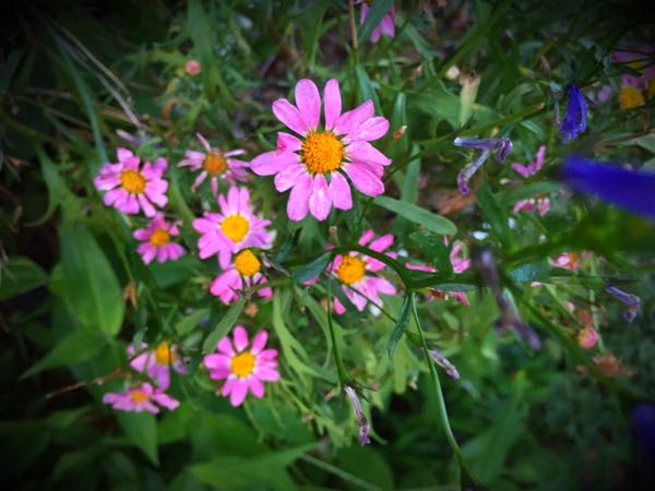 rblog-20160710211216-08.jpg