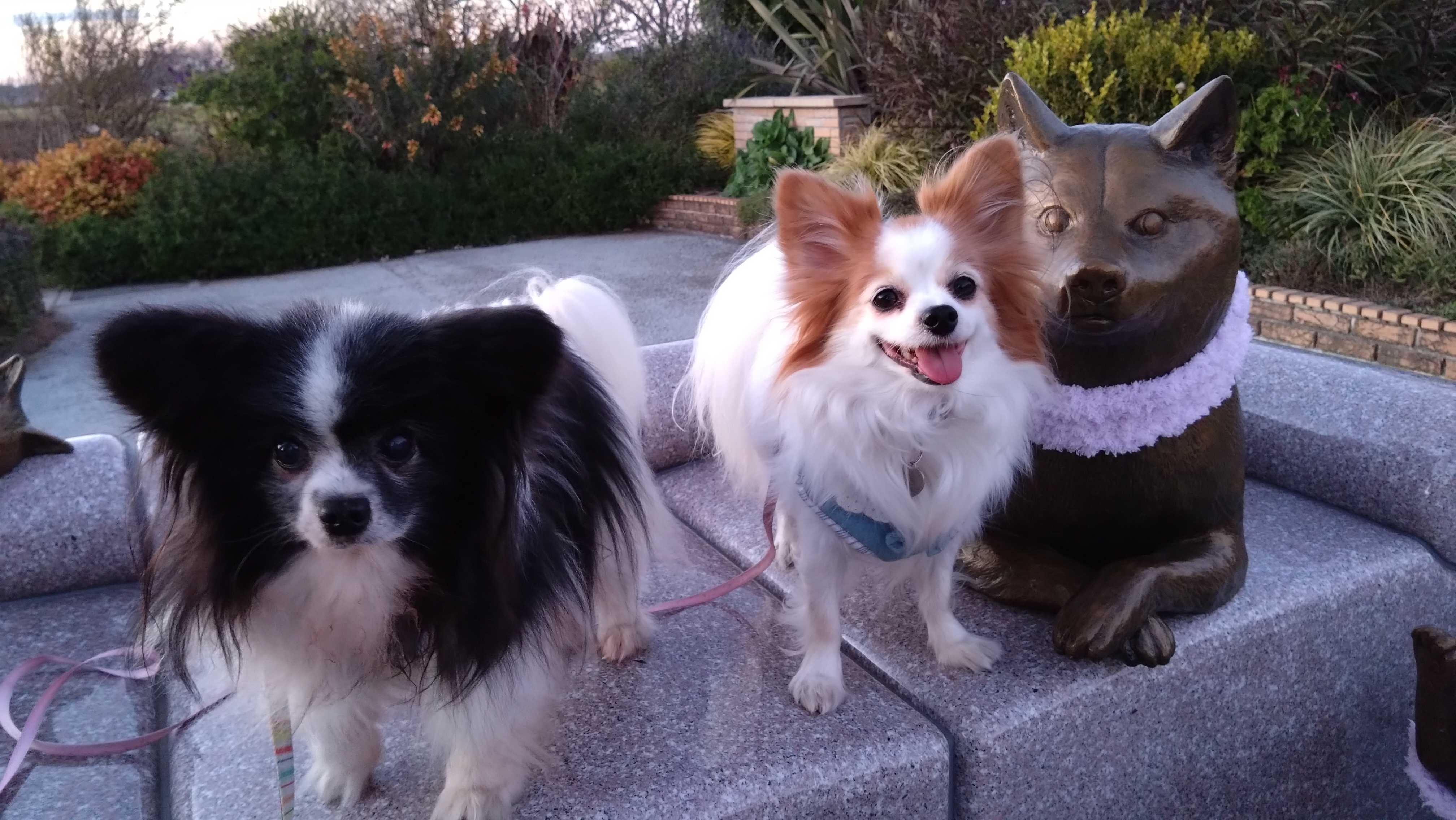 かぼすちゃんの銅像を見てきたよ | 徒然な話～思いつくままに～ - 楽天ブログ