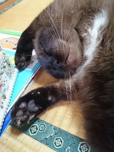 きらり