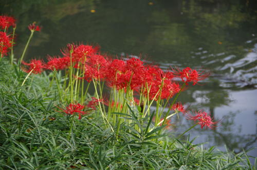 小石川後楽園