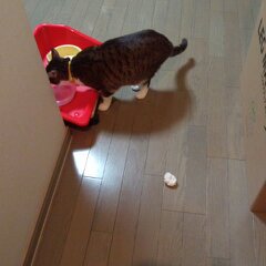 ３月１２日分 079.jpg