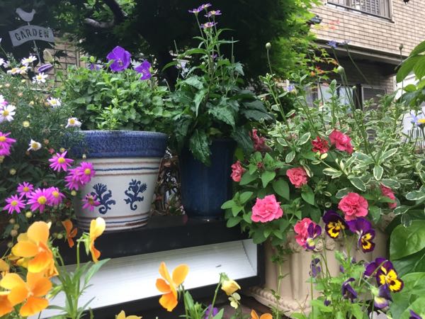 rblog-20160530191918-01.jpg