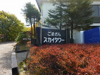 P1060259.jpg
