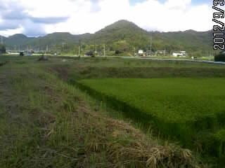 樺崎の山２