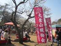 IMG_4987_R.JPG