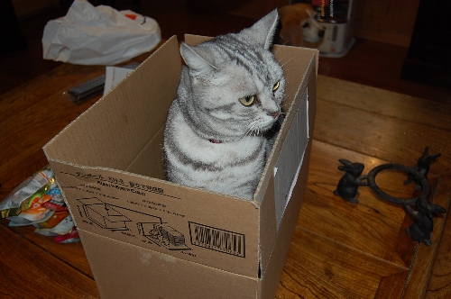 DSC_0090.JPG