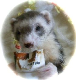 2012年２月２１日メイ