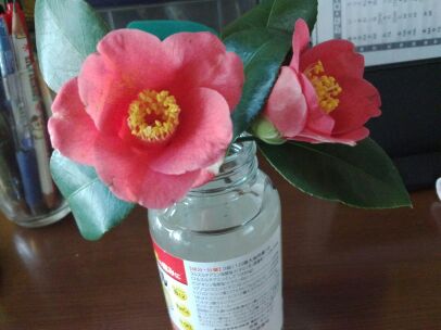 rblog-20140402115145-01.jpg