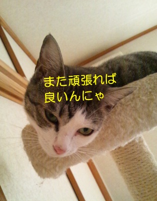 20120806_4.jpg