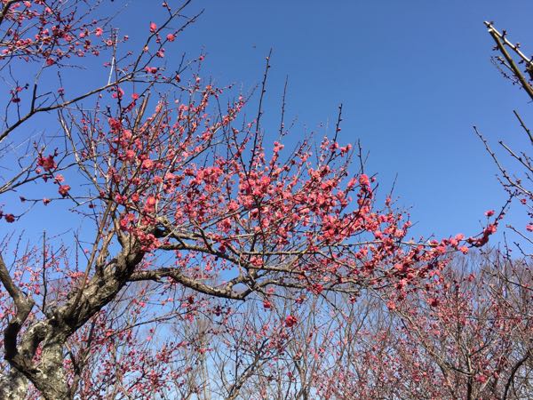 rblog-20180214120254-04.jpg