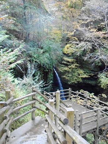 DSCN0703.jpg
