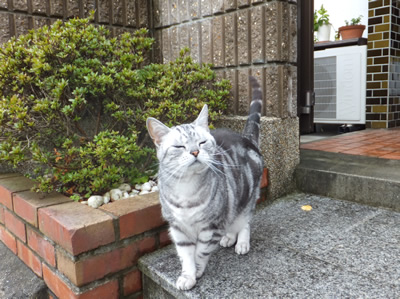 DSCF8382.jpg
