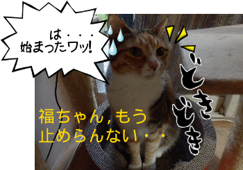 P6110020.png