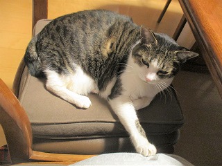 IMG_5059ss.jpg