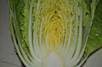 カット白菜
