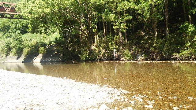 resize0026.jpg