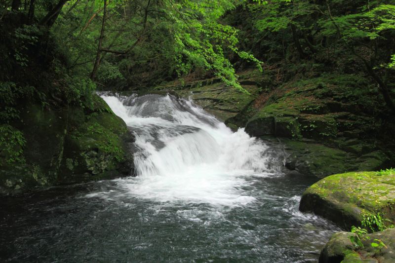 赤目四十八滝_14-2-夫婦滝.jpg