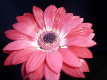 P1030440.JPG