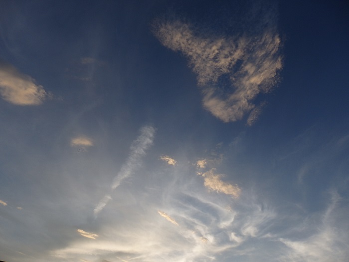 2014.9.2.jpg