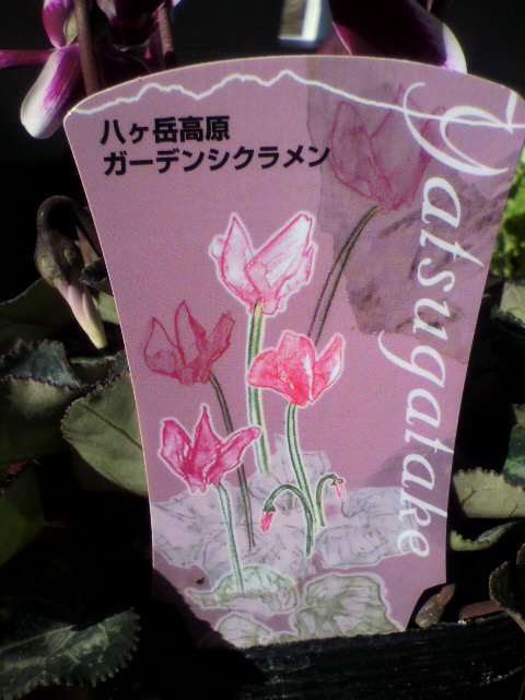 2012121313050001.jpg