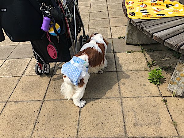 rblog-20180423141141-07.jpg