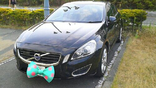 rblog-20150810075034-01.jpg