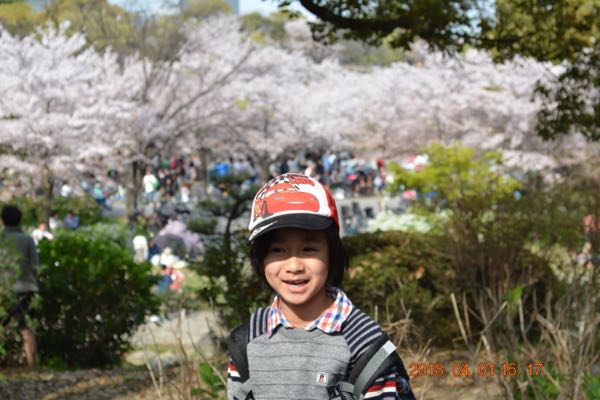 rblog-20180403113024-03.jpg