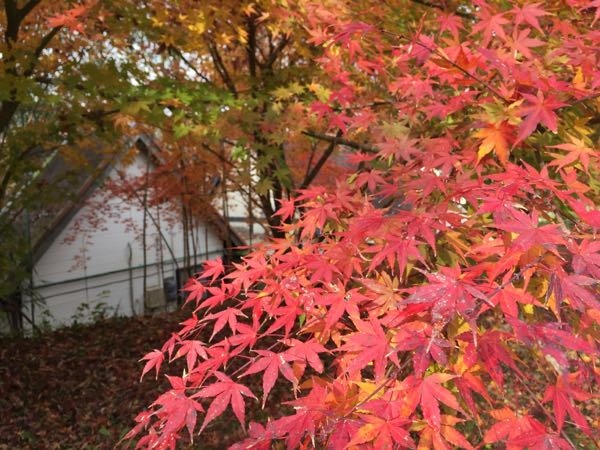 rblog-20161212192732-08.jpg