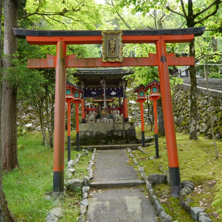 P1070441.JPG