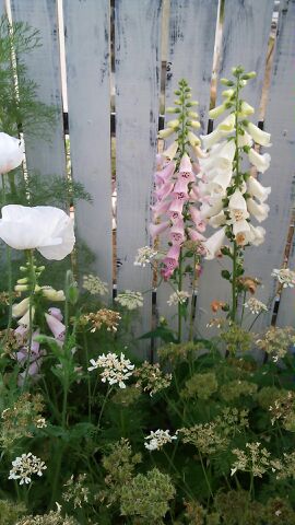 rblog-20140612091434-01.jpg
